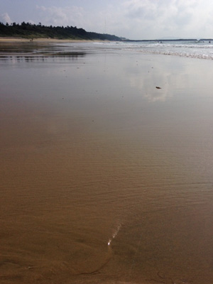 b0147329_9345172.jpg
