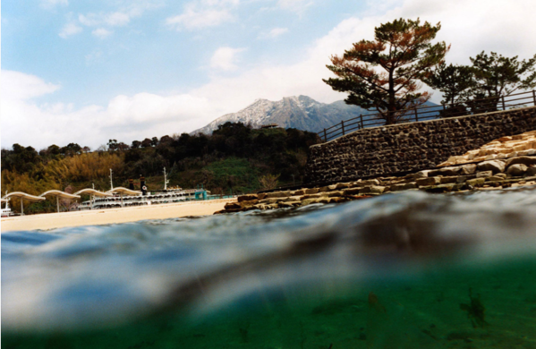 楢橋朝子氏 展覧会「OUT DOOR EXHIBITION」_b0187229_11375959.png