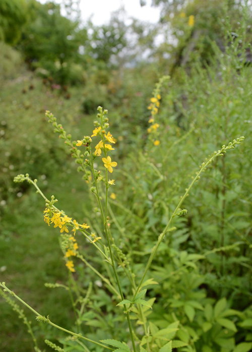 c0107129_34184.jpg