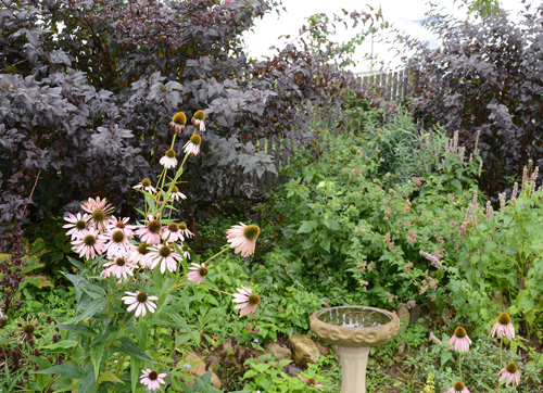 c0107129_35921.jpg