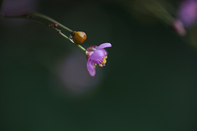 f0288049_12283968.jpg