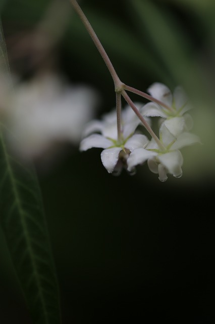 f0288049_1229031.jpg