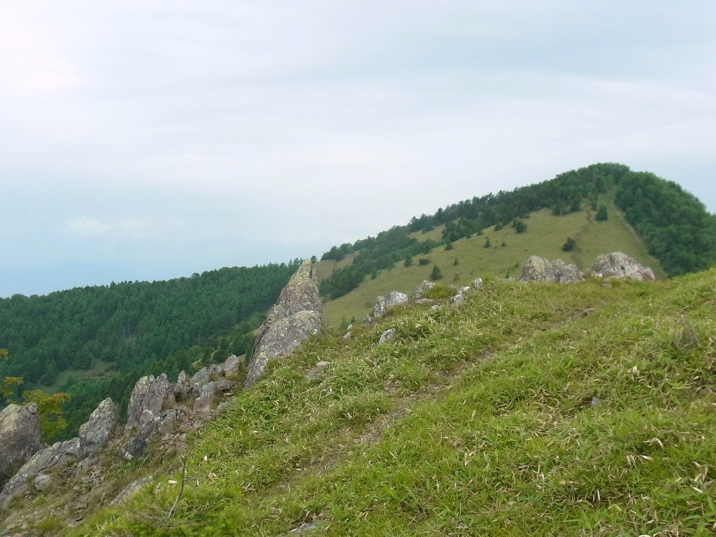 2014/07/13　牛奥ノ雁ヶ腹摺山 小金沢山　天狗棚山　熊沢山　親不知ノ頭　妙見ノ頭　大菩薩嶺　前編_d0233770_11383240.jpg