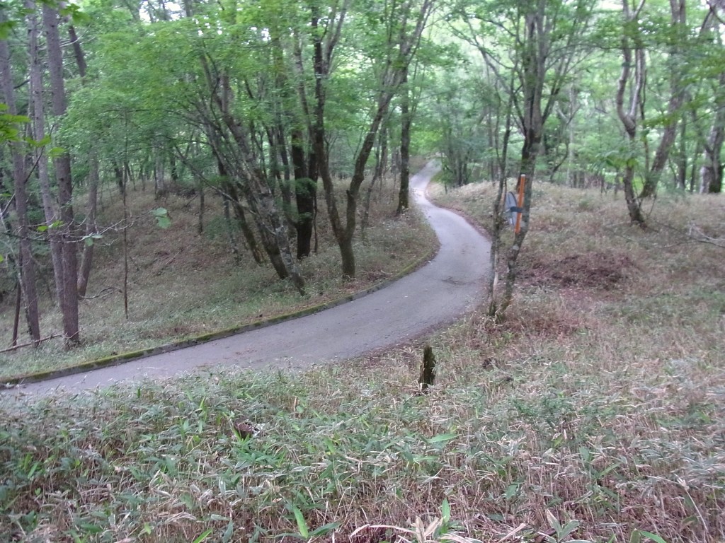 2014/07/13　牛奥ノ雁ヶ腹摺山 小金沢山　天狗棚山　熊沢山　親不知ノ頭　妙見ノ頭　大菩薩嶺　終編_d0233770_15283833.jpg