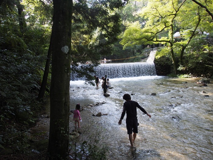 夏の終わりに。（鳥栖市あずまや）_a0149488_4514823.jpg