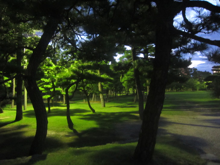 c0078592_041010.jpg
