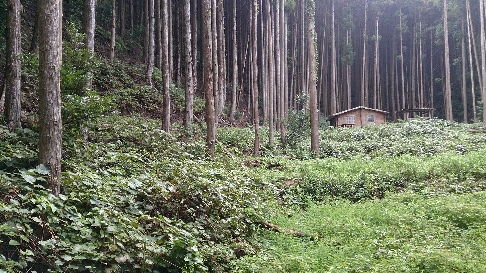 平成廿六年 八月十七日～廿五日　熊野周遊_a0165993_1337531.jpg