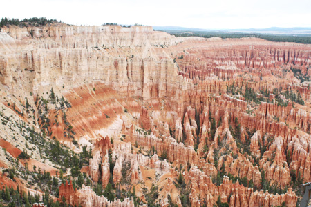 c0033994_65165.jpg