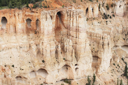 c0033994_66423.jpg