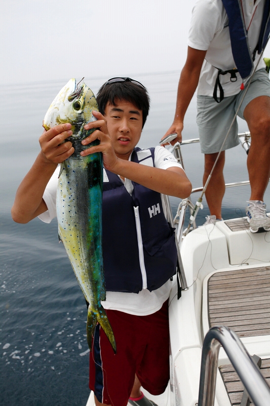 大島チャレンジ_d0073005_057088.jpg