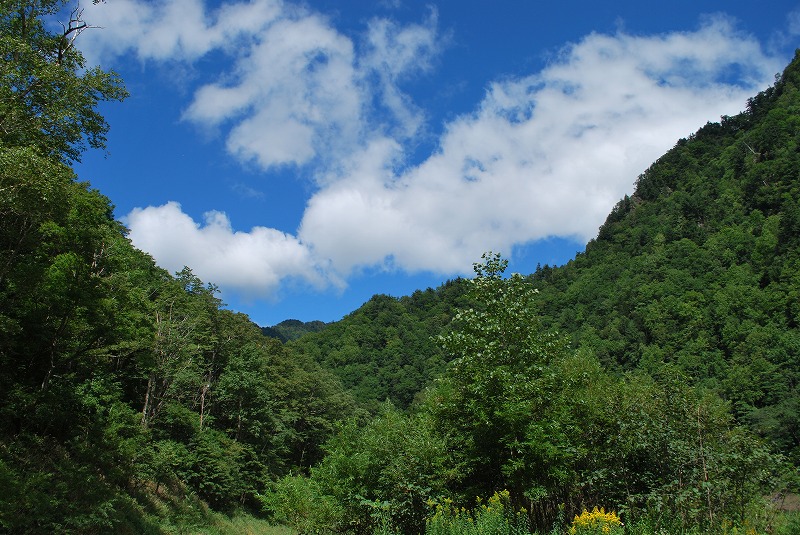 d0051707_21435970.jpg