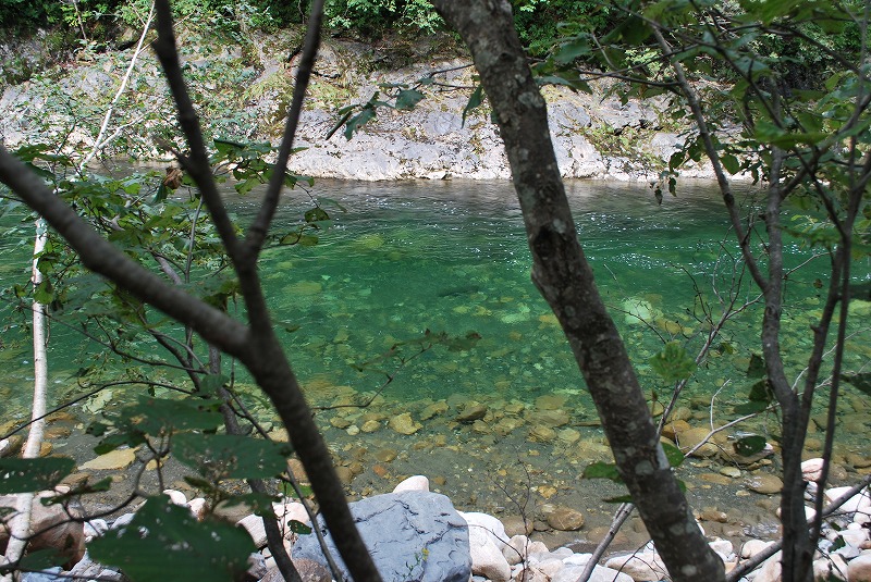 d0051707_21435998.jpg