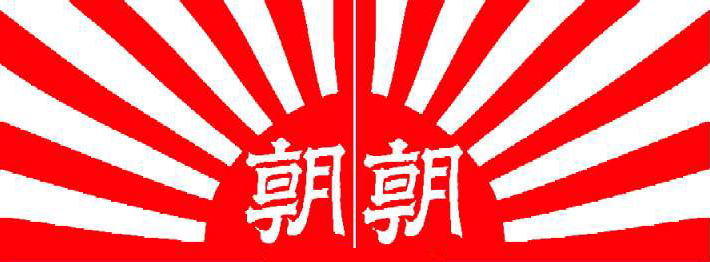 なでしこジャパンの反撃！：「嘘をつく報道の自由はあるのか？」「嘘をついた責任はどう取るか？」_e0171614_9151958.jpg