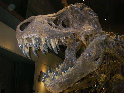 a0315918_15252818.jpg