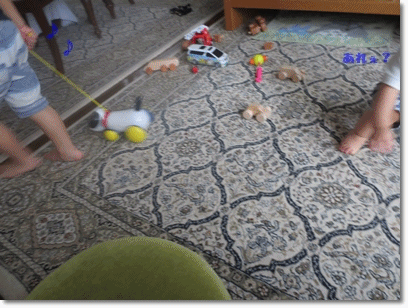 b0167519_2147630.gif