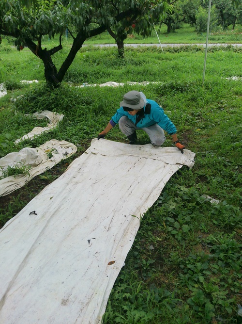 f0142721_22491999.jpg