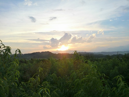 f0142721_23122858.jpg