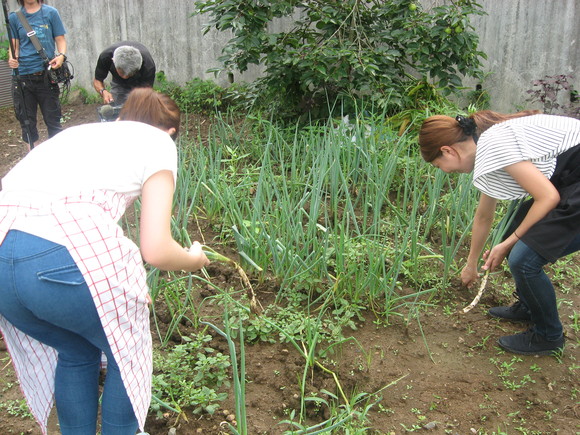 神戸松陰女子学院大学の皆さんが郷土料理に挑戦!_e0061225_14113239.jpg
