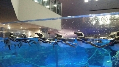c0267235_23442292.jpg