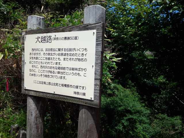 a0048040_1734574.jpg