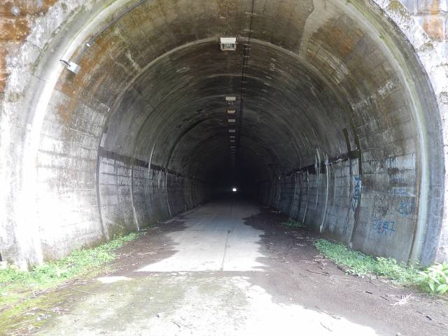 a0048040_1743332.jpg