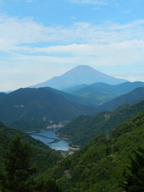 a0048040_176594.jpg