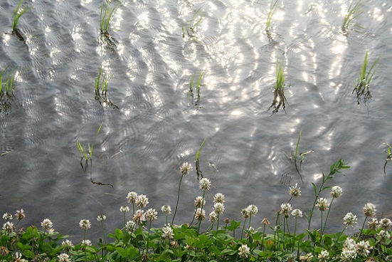 e0126350_1425959.jpg