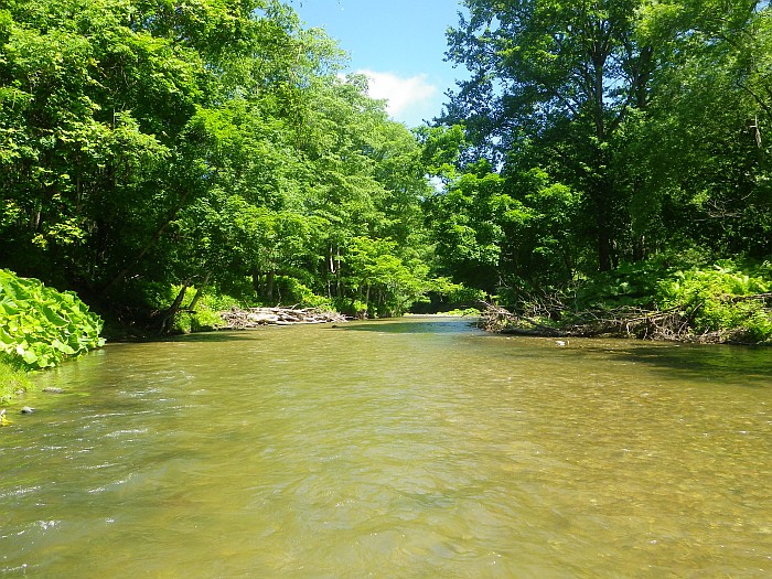 c0060452_10475104.jpg