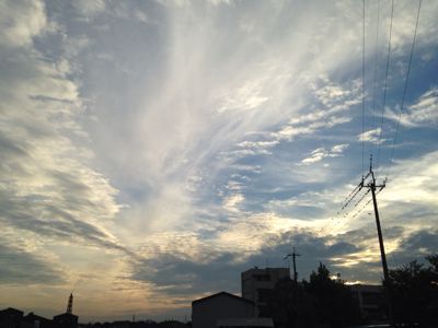 夕焼けといちぢく🎵_e0136066_18462830.jpg