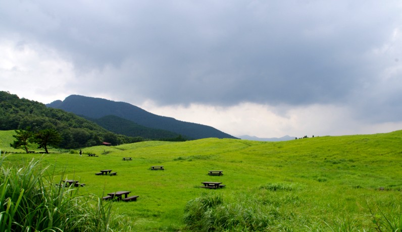 緑の曽爾高原　夏雨続きの合間に_c0144185_10595194.jpg