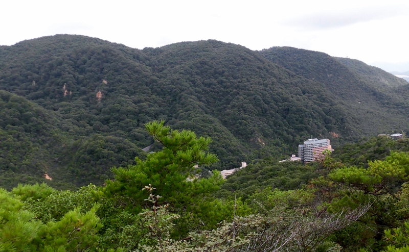 d0125589_124297.jpg