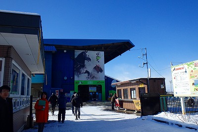 b0191190_05272311.jpg