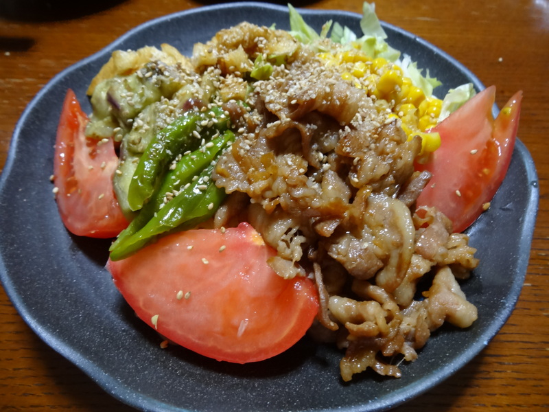 ミートローフ、変わりチャプチェ、スタミナ焼き肉丼、焼き肉冷やし中華、カレー饂飩です。_c0225997_0381016.jpg