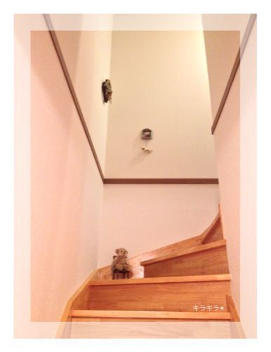 wreathを飾りました^ ^_f0354014_23433797.jpg