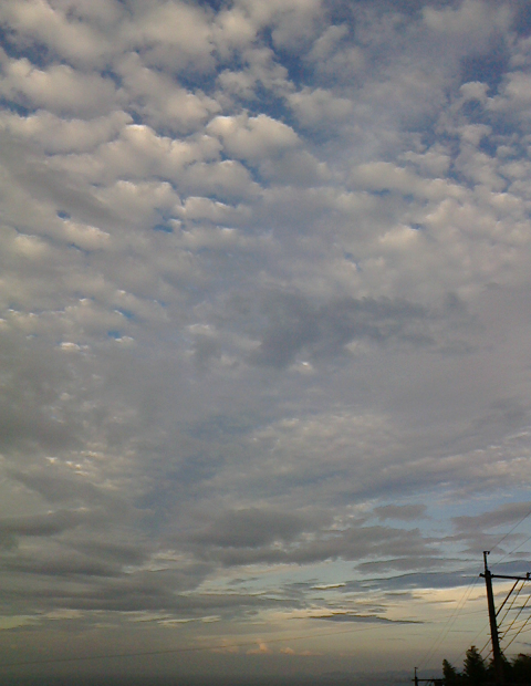 c0097620_20332516.png