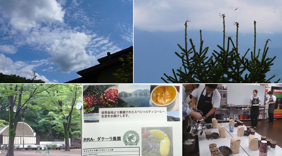 秋のトンボと東京行き_a0212730_19185951.jpg