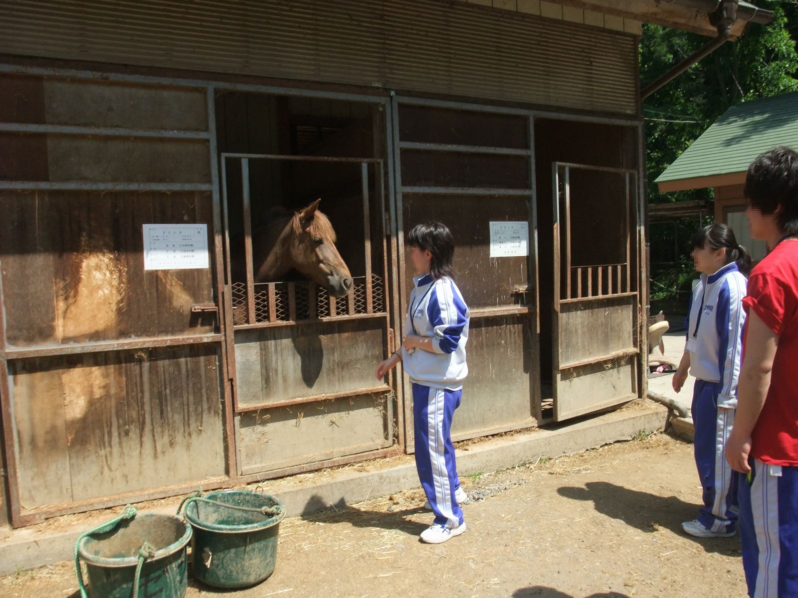 地元観光資源の見学2_b0230533_15572130.jpg