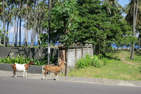 c0148238_1127812.jpg