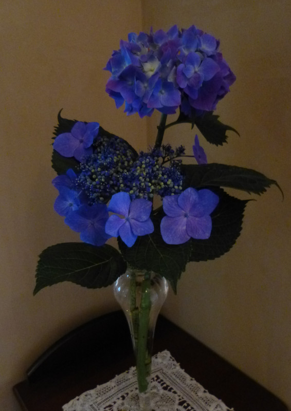 c0301141_22153155.jpg