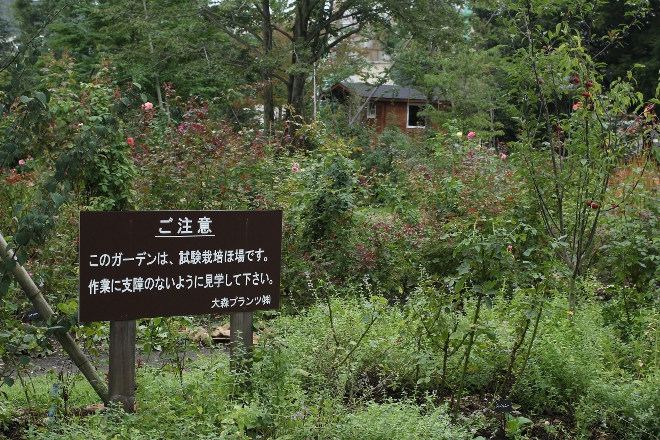 那須 コピスガーデン(CoppiceGARDEN)で癒しのひと時_e0227942_21503162.jpg