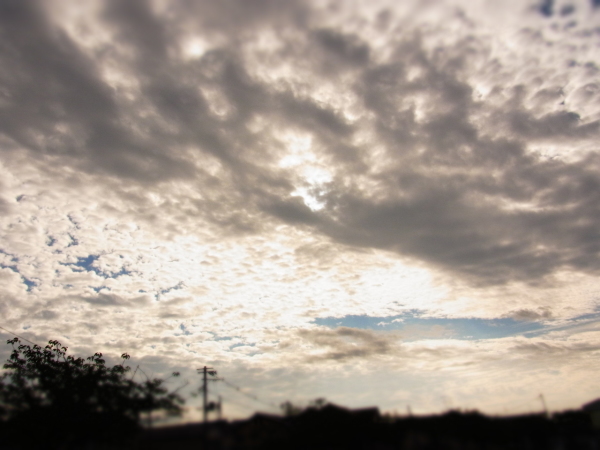 a0305046_09061261.jpg