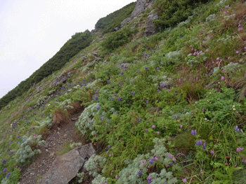a0044453_10495026.gif