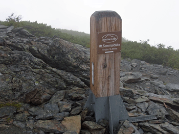 a0044453_10501336.gif