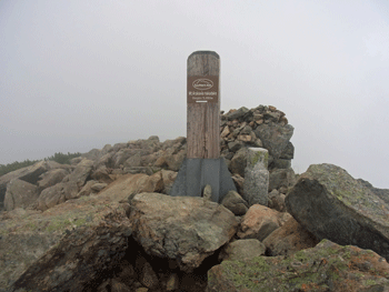 a0044453_10504924.gif