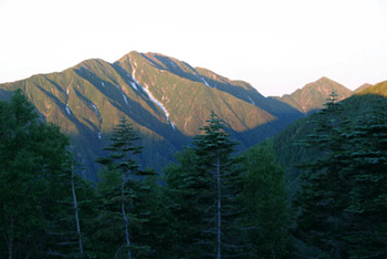 a0044453_14444694.gif