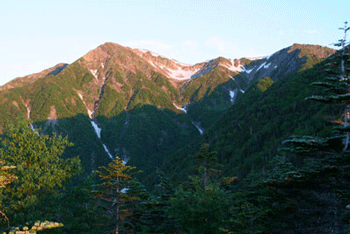 a0044453_14452414.gif
