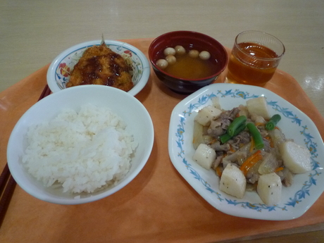新築売りアパート(方南町駅4分)_b0246953_18464879.jpg