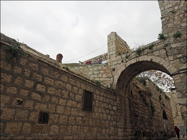 f0140054_7391824.jpg