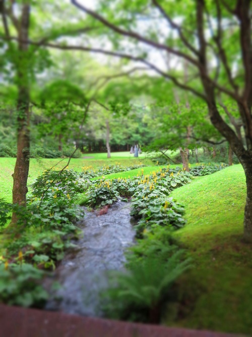 natural Cafeínaのアサイーボウル @セゾン現代美術館<閉店>_f0236260_1227283.jpg