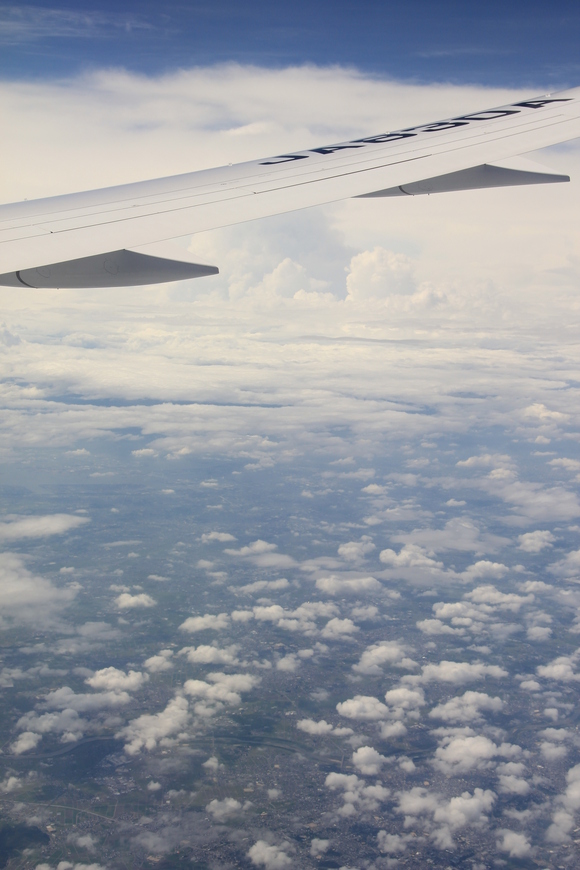 d0202264_55435.jpg
